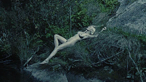 Kirsten Dunst in Melancholia (2011) Breasts Bush Breasts Bush 708891