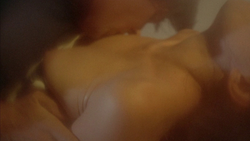 Barbara Parkins Naked as Roxanne Delancey. Breasts, man kissing breasts, man/woman. 810549