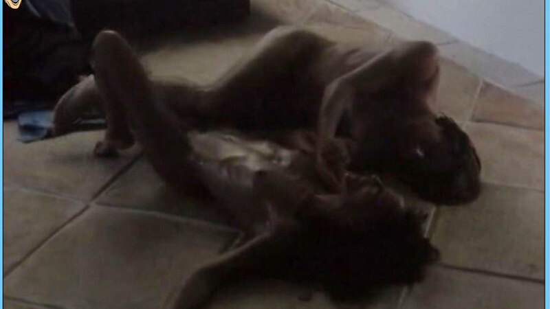 Christine Boisson Nude in La Femme dangereuse. Breasts, Bush, couple on floor, dark hair. 559852