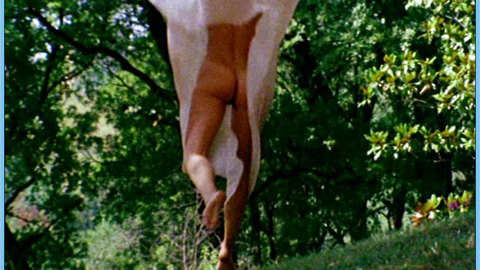 Nadia Cassini in Infermiera nella corsia dei militari (1980) Butt Butt Nude 566469