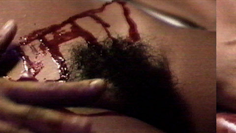 Serafina from Oh Serafina Naked. Bush, bloody, bruentte. 587789