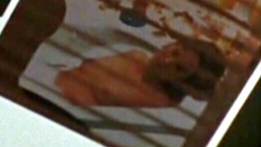 Michelle Eisner from Callboys - Jede Lust hat ihren Preis Naked. Breasts, black hair, in bathtub. 595667