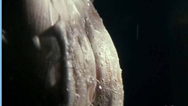 Vivian Hsu Naked as Wenny. Butt, close-up, nude. 566811