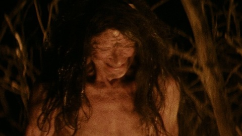 Meg Foster in The Lords of Salem (2013) Breasts Breasts Brunette 728948