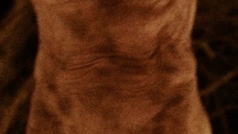 Meg Foster in The Lords of Salem (2013) Breasts Bush Breasts Brunette 728951