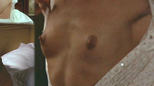 Nathalie Baye Nude as Nicole Danet. Breasts, brunette, collage. 614330