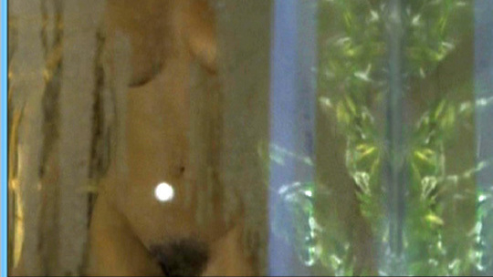 Natalia Wörner Nude in Die Sieger. Breasts, Bush, full frontal, hairy bush. 580426