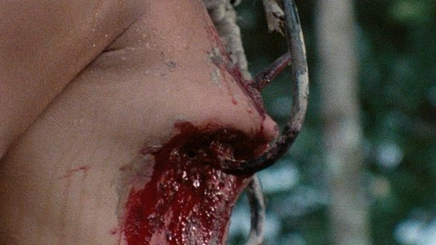 Zora Kerova in Cannibal Ferox (1981) Breasts Bdsm Blood 764177