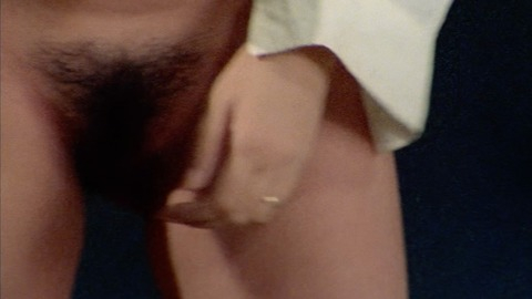 Anna Maria Rizzoli in Play Motel (1979) Bush Bush Close Up 773583
