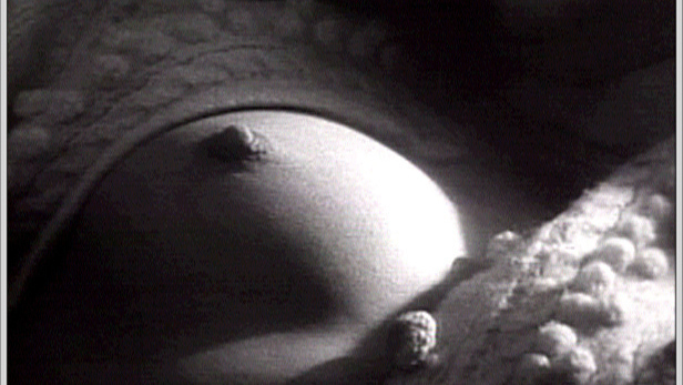 Girl from L' ange et la femme Naked. Breasts, breast close-up, hard nipples. 570149