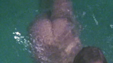 Nudes of Dawn Meadows from Steaming. Butt, Skinny Dipping, breasts. 804000