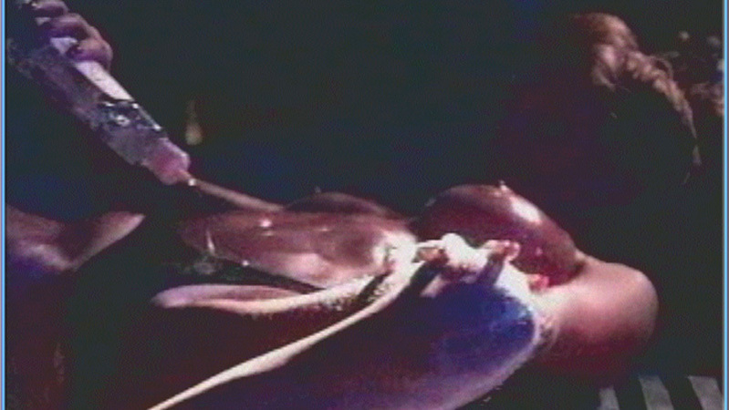 Nudes of Dancer from In the Flesh. Breasts, Thong, nude, pouring oil on body. 583014