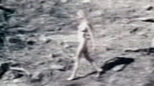 Nudes of Mary from Massacre at Central High. Breasts, blonde, nude. 535290