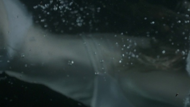 Hottest Jessica Biel Scene in Bleeding Heart. Underwear, brunette, in water. 776906