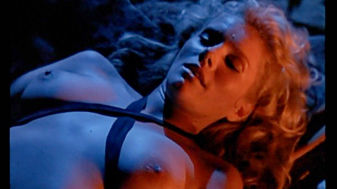 Lana Clarkson in Deathstalker (1983) Breasts Big Breasts Blonde 1018755