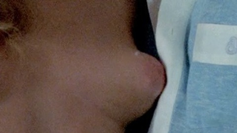 Jewel Shepard in Mission: Killfast (1991) Breasts Big Areolas Big Breasts 732155