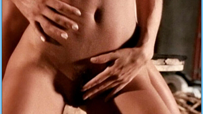 Nikki Fritz Naked in Virtual Encounters 2. Bush, close-up, hairy bush. 574813