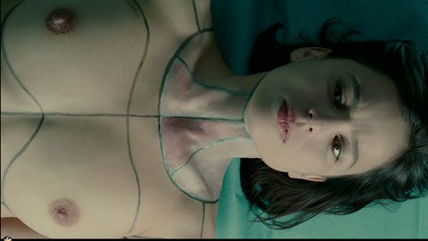 Elena Anaya in The Skin I Live In (2011) Breasts Body Paint Breasts 708647