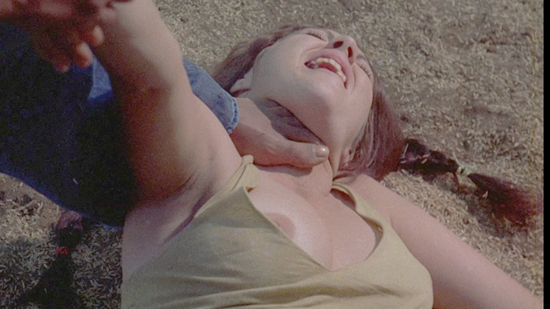 Wendy Green Nude in The Big Bird Cage. Breasts, brunette, held down. 699610