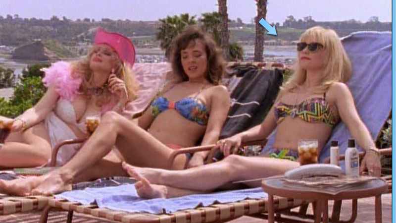 Sexiest Linnea Quigley Scene in Heavy Petting Detective. Bikini, blonde, cleavage. 577903