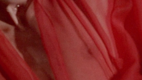 Sexiest Anitra Ford Scene in The Longest Yard. Sexy, Underwear, nipple showing, red lingerie. 751195
