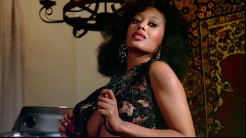 Marilyn Joi in The Kentucky Fried Movie (1977) Breasts Black Black Lace Top 726353