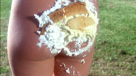 Lenka Novak in The Kentucky Fried Movie (1977) Butt Butt Nude 726359