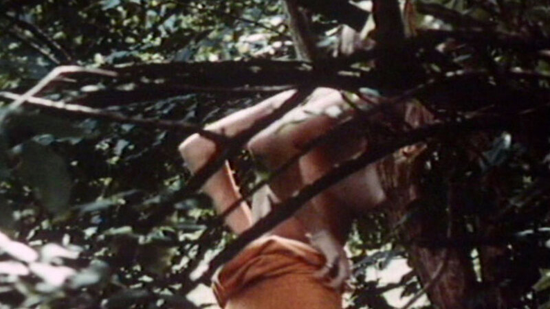 Heike W. from Schoolgirl Report 1: What Parents Don't Think Is Possible Naked. Breasts, nude, outdoors. 603491