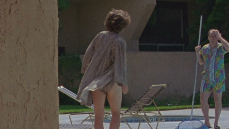Leaving Las Vegas's Sexiest Scenes with Laurie Metcalf. Sexy, SFW, brunette. 696300