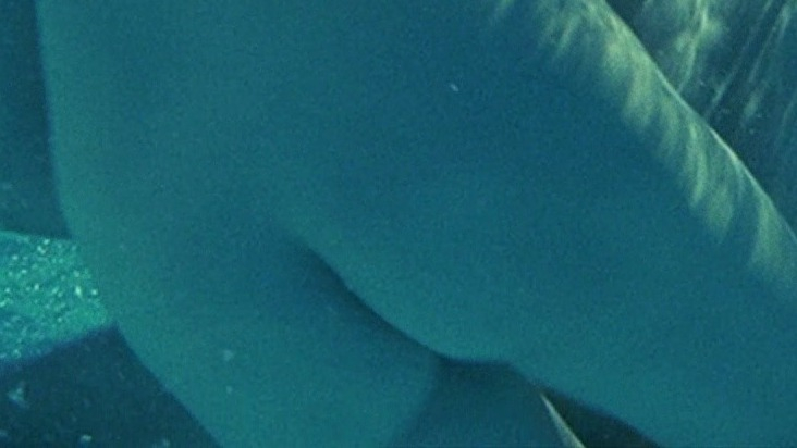 Anna Galiena Naked as Livia Mazzoni. Butt, nude, underwater. 750849