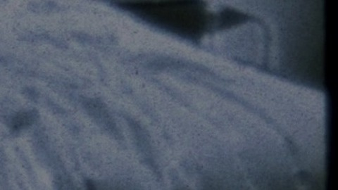 Nudes of Cristie from American Psycho. Butt, back exposed, black and white. 839982