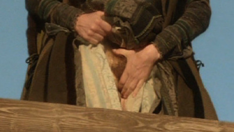 Gina McKee in The Borgias (2011-2013) Bush Armor Bush 710580
