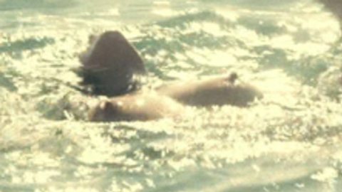 Marion Cotillard Nude in Rust and Bone. Breasts, breasts above water, nude. 723610