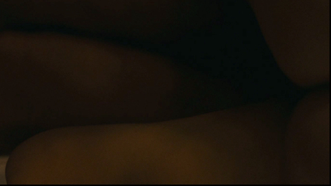 Nudes of Stéphanie from Rust and Bone. Butt, close-up, dark. 723618