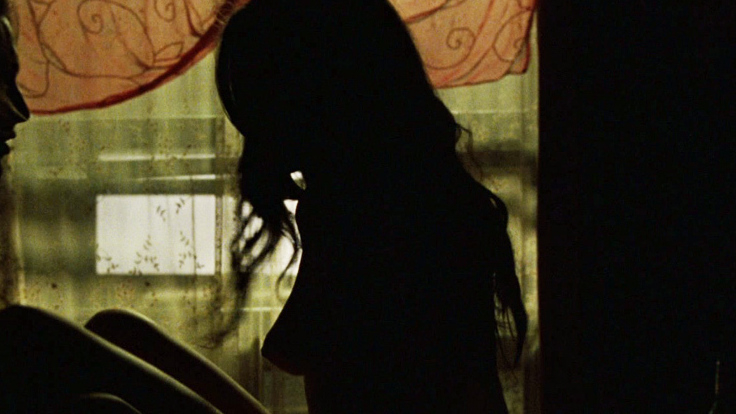 Anna Paquin Naked in Margaret. Breasts, breast silhouette, brunette. 712921