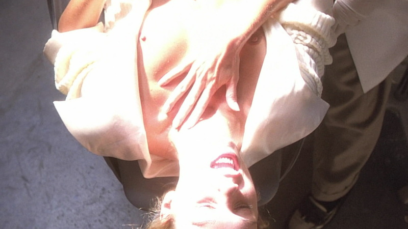 Linda Hoffman Nude as Brooke Feinstone. Breasts, blonde, nude. 581390