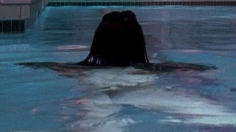 Finola Hughes Naked in Aspen Extreme. Butt, pool, swimming. 779647