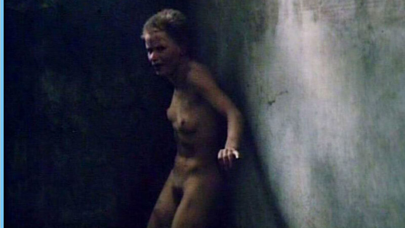 Renée Soutendijk Nude in Van de koele meren des doods. Breasts, Bush, hairy bush, nude. 585526