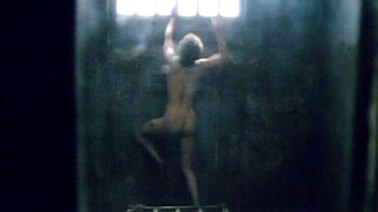 Renée Soutendijk Naked as Hedwig. Butt, cell, nude. 585525
