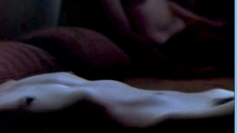 Mireille Darc Naked as Nicole. Breasts, Bush, hairy bush, hard nipples. 617205