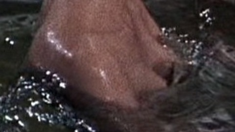 Hottest Grace Kelly Scene in The Bridges at Toko-Ri. Sexy, SFW, bathing suit. 936284
