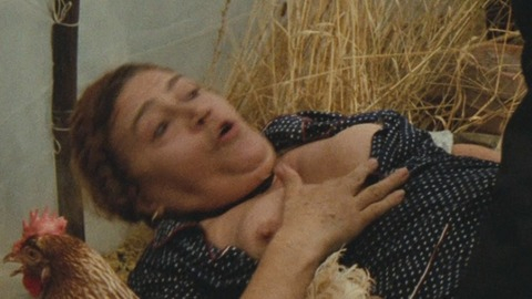 Jole Silvani Nude as Motorcyclist. Breasts, braids, chicken. 790868
