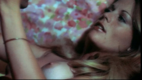 Candice Rialson in Pets (1974) Breasts Breasts Left Breast 678402