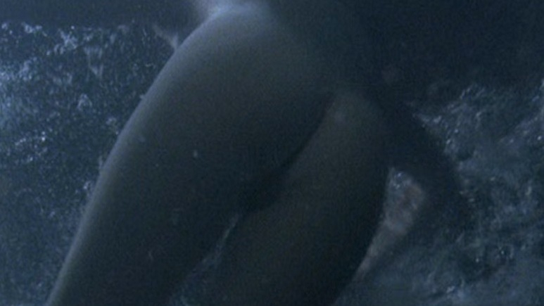 Heidi Kozak Haddad Nude as Sandra. Butt, Bush, Skinny Dipping, backburger. 583112