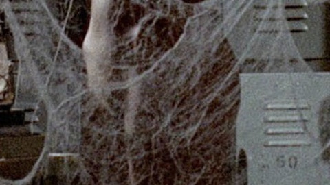 Susanne Benton in A Boy and His Dog (1975) Breasts Bush Breasts Bush 731530