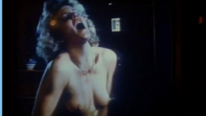 Ginger Lynn Allen Nude as Girl on TV (uncredited). Breasts, blonde, nude. 534248