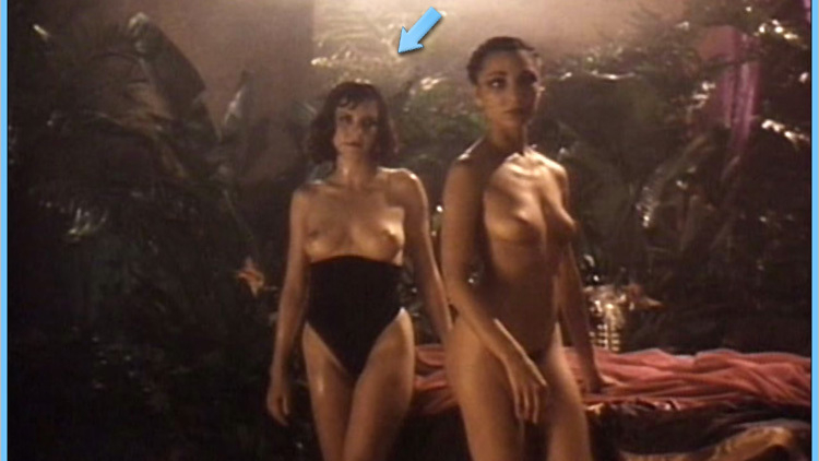 Slave #1 from Erotique Naked. Breasts, big breasts, black corset. 534839