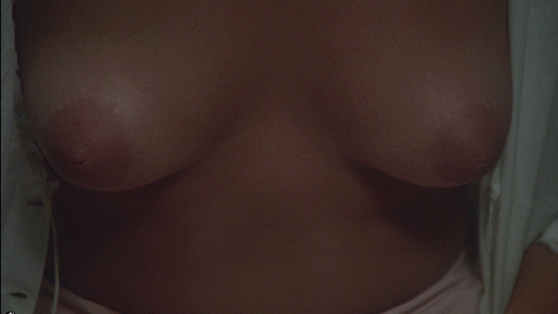 Nudes of Susan from Midnight Express. Breasts, big areolas, breast close-up. 674448