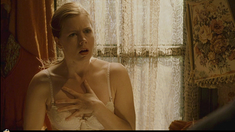 Amy Adams in Leap Year (2010) Underwear Blonde Sfw 684263