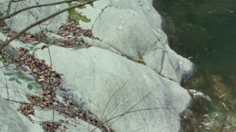 Isild Le Besco in Deep in the Woods (2010) Butt Back Exposed Blonde 733323